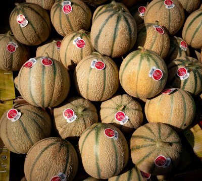 Love the Melons