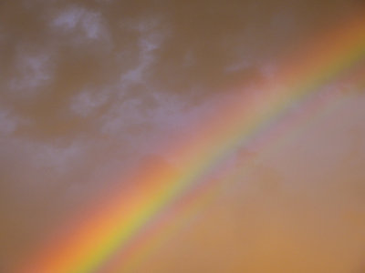 rainbow 142