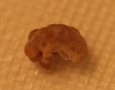 g10/44/588044/3/167776559.WF98jH80.jpg