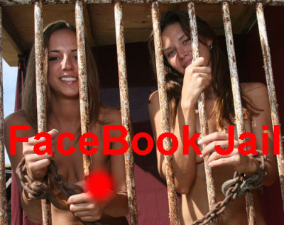 FaceBook 393.jpg