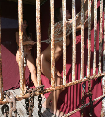 Jail Break 431.jpg