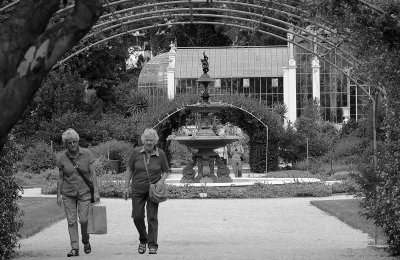 DSCF0093 copybw.jpg