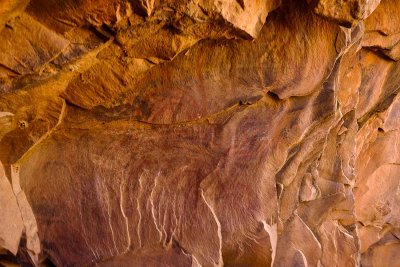 Sacred Canyon Aboriginal Rock Carvings