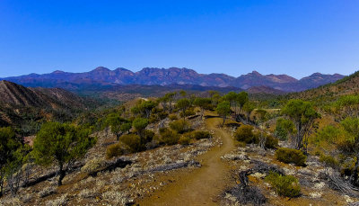 Bunyeroo Valley