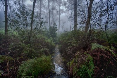 IMG_0403_copys.jpg