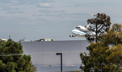 Arriving LAX