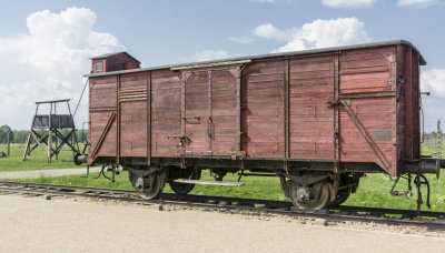 Freight Car Transport to Death
