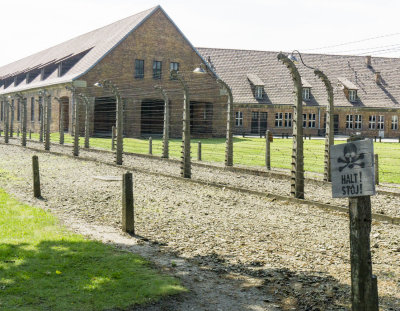 Electrified Barbed Wire Fences