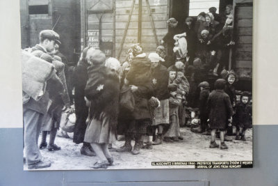 Arrival of Jews from Hungary 