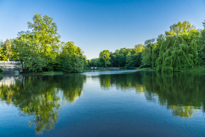 Lake Reflections -L