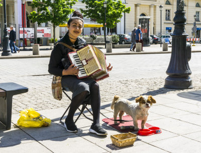 The Accordion Player 