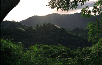 Mountains View