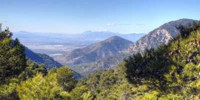 Sierra Espuna Mountains 