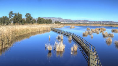 Parc El Hondo Spain