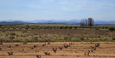 Region of Castilla-La Mancha landscape