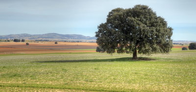 Region of Castilla-La Mancha landscape 