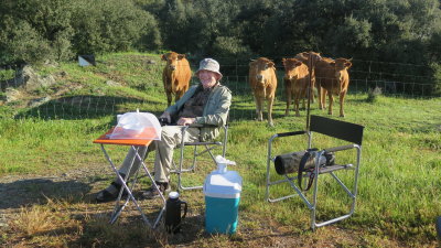 Breakfast with uninvited guests