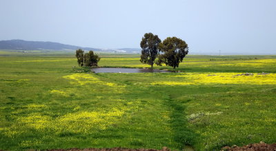 The Plains of Extremadura 