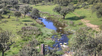 Mountain Stream