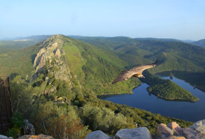 Montfrague Castle View