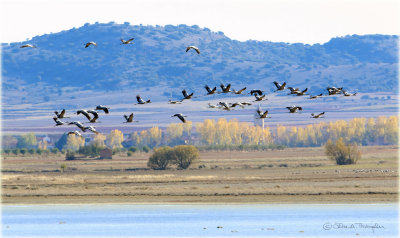 Laguna Gallocanta