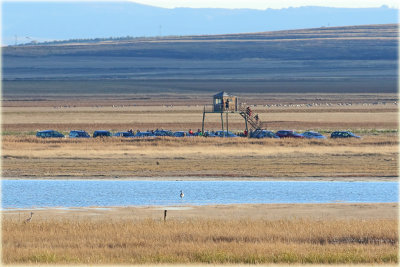 Gallocanta Laguna Hides