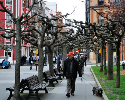 Plaza San Miguel (La Plazuela)