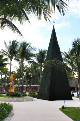 Same Old Christmas Tree