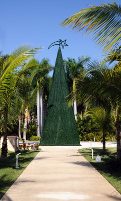 Christmas Is In The Air