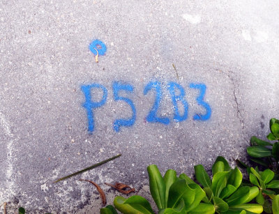 Road Surveyor Marks