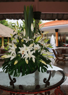 Flora
