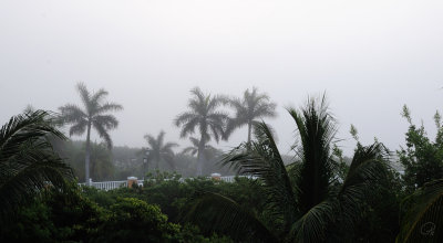 Barceló Foggy Morning