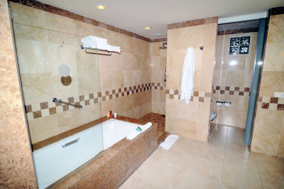 Bathroom Tub And Shower