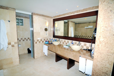 Bathroom Sinks (Toilet With Bidet)