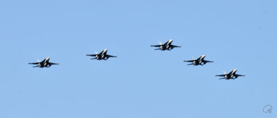 Remembrance Day 2018 - CF-18 Hornets Fly-By