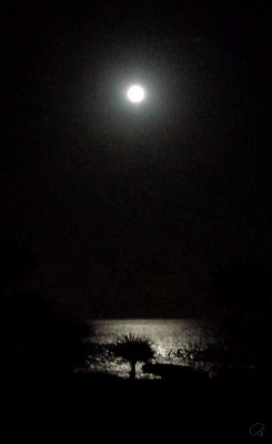 Full Moon Over the Caribbean