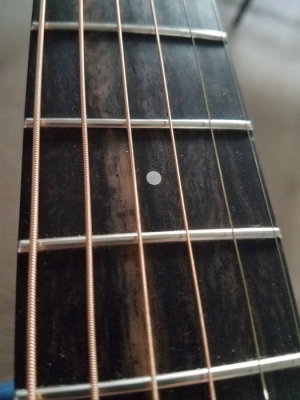 Nice stripe in ebony fretboard.  Frets polished.