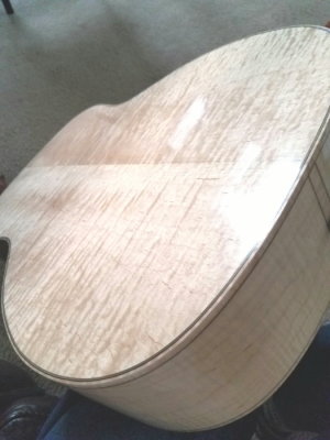 Solid Maple Back