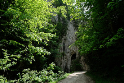  Gorge 
