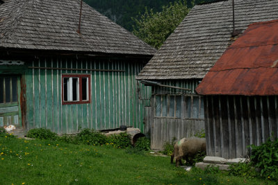  Farm