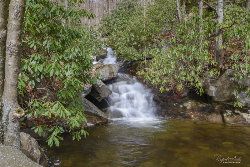 Glen Onoko