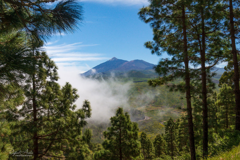 Tenerife Mountain Views