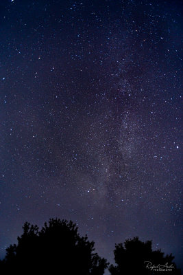 Backyard view of the Milky Way in Kulpsville.