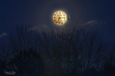 Moon watch