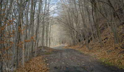 g10/45/52545/3/167984957.u6lYI8eo.jpg
