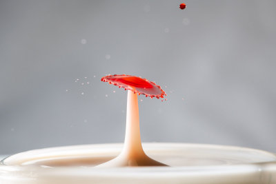 Liquid creamsicle or poisonous mushroom?