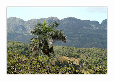 Viales valley