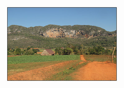 Viales valley