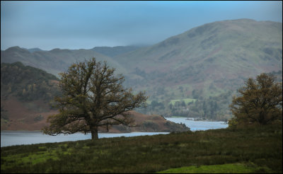 LOOKING ACROSS RYDAL.jpg