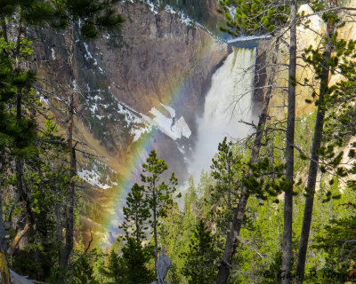 Yellowstone 2017